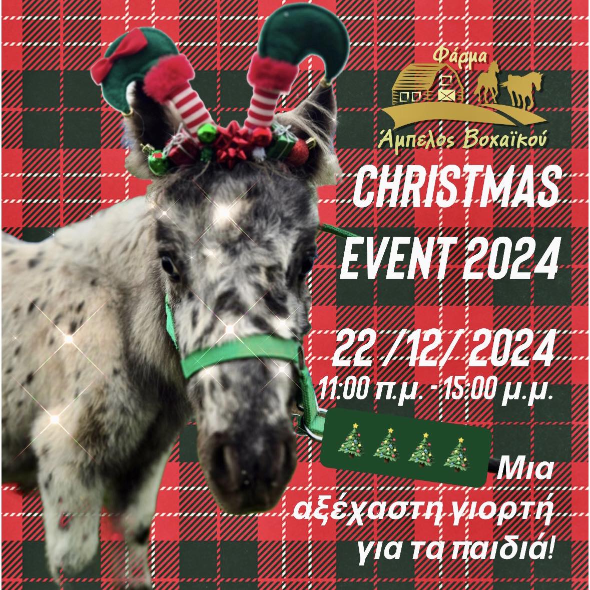 Χριστούγεννα στη Φάρμα Άμπελος Βοχαϊκού:
Μια αξέχαστη γιορτή για τα παιδιά
